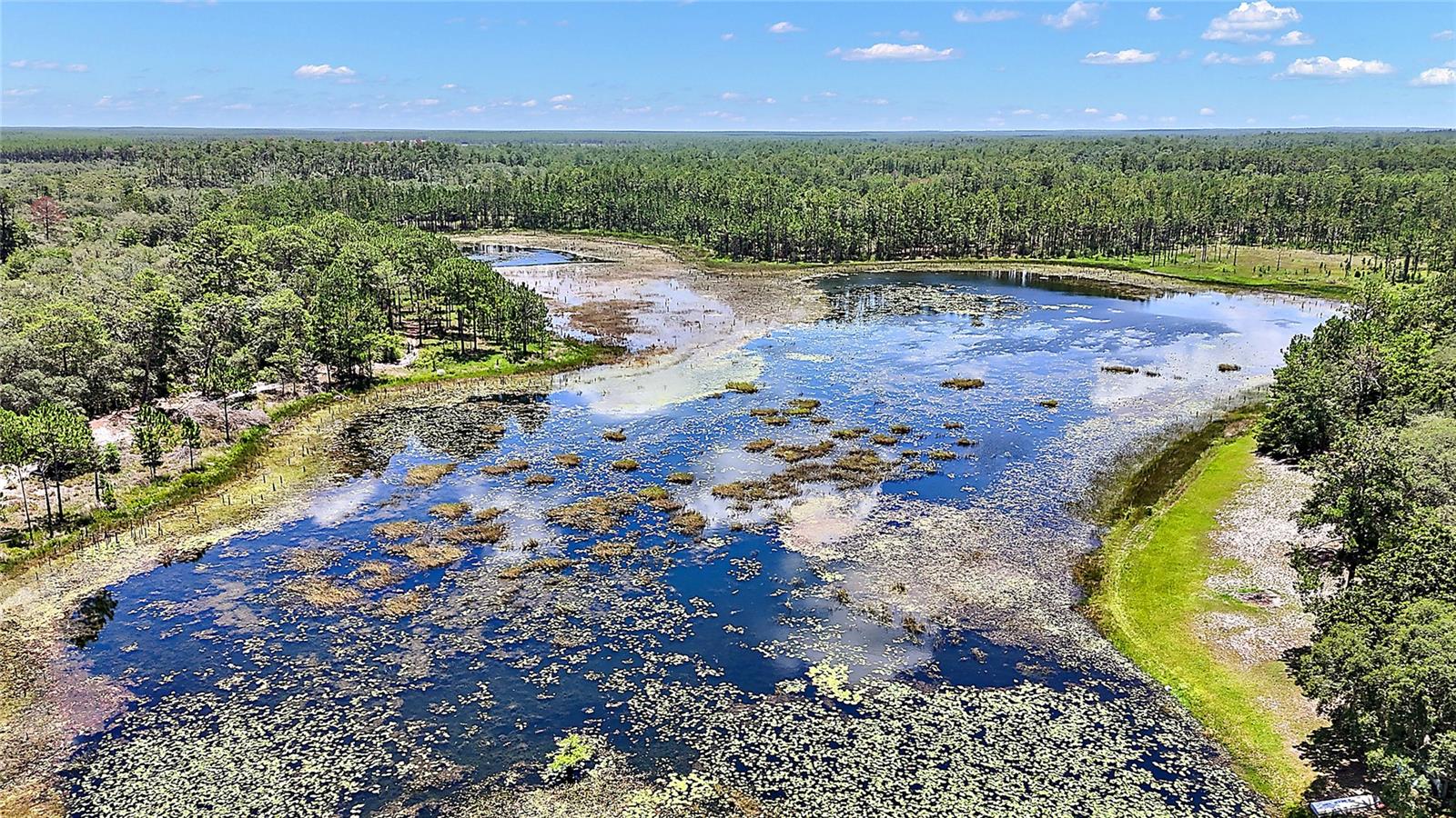 0 SE 197TH AVE, OCKLAWAHA, FL — photo 7