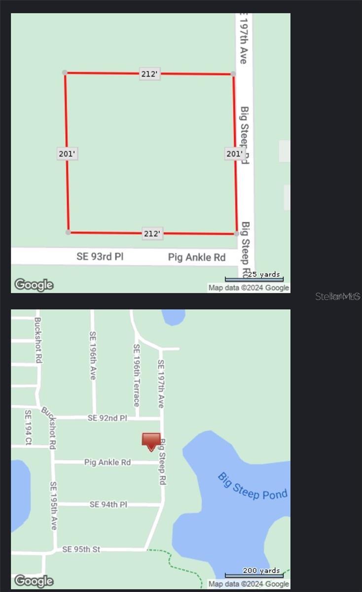 0 SE 197TH AVE, OCKLAWAHA, FL — photo 8