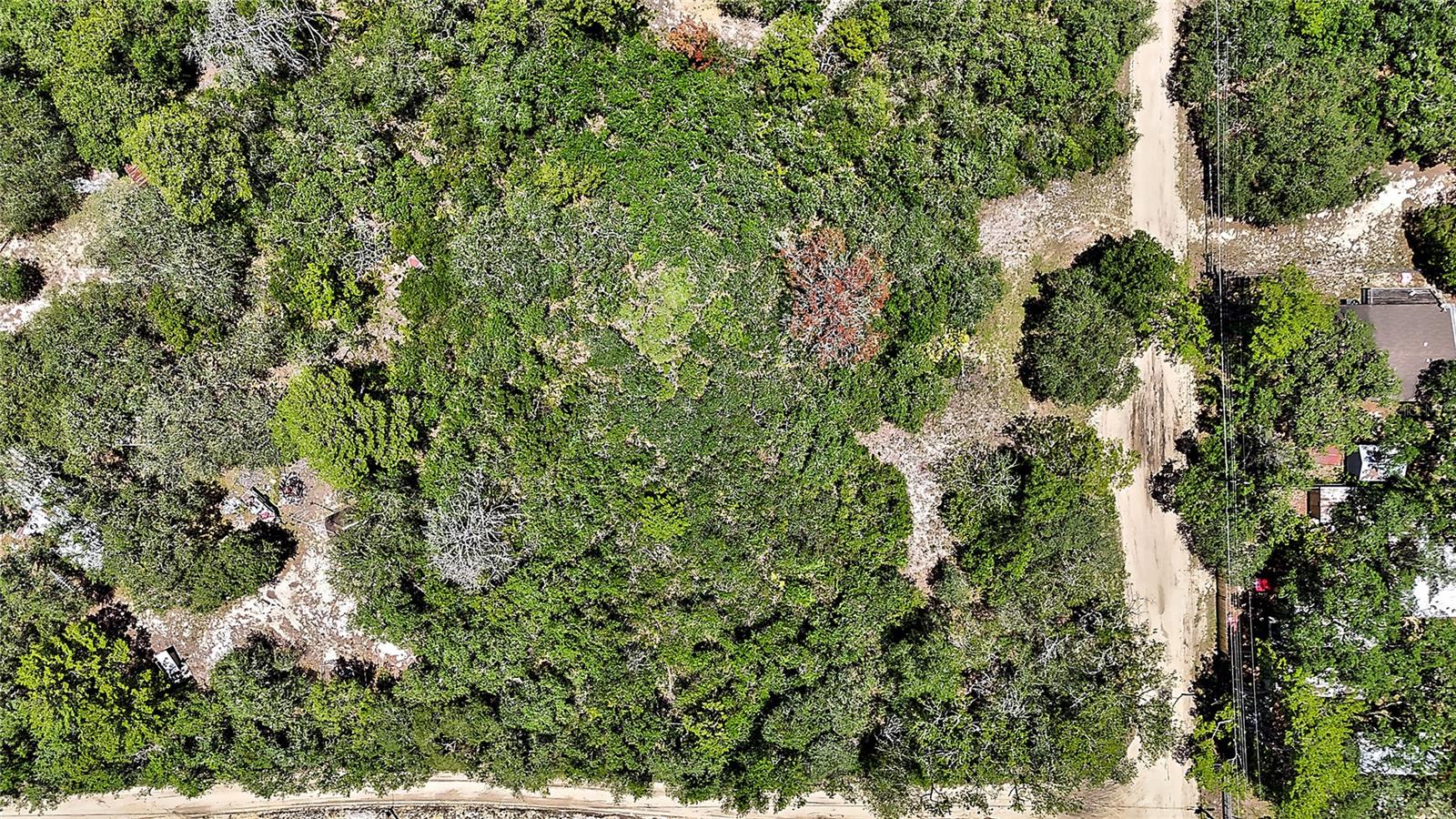 0 SE 197TH AVE, OCKLAWAHA, FL — photo 9