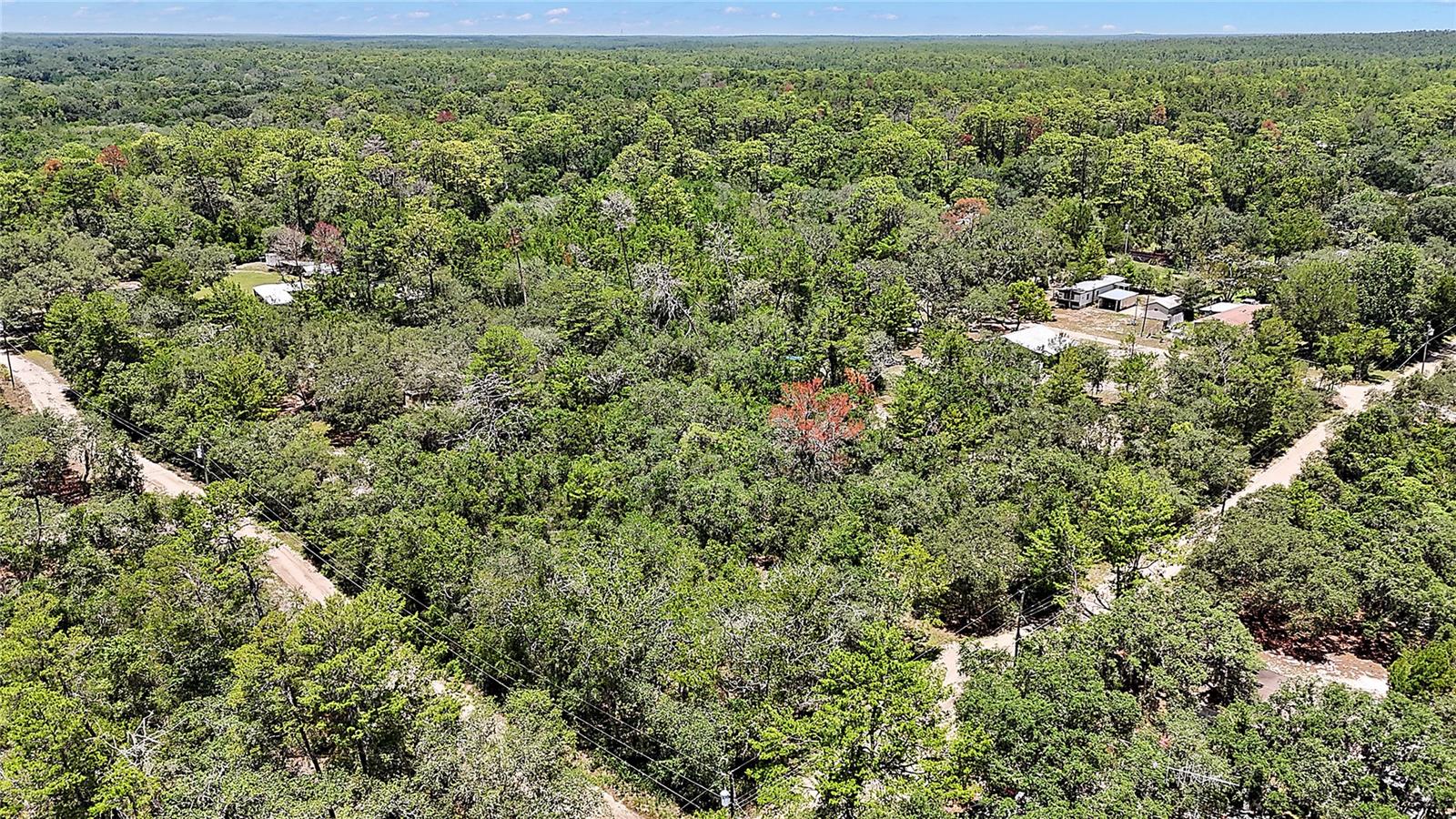 0 SE 197TH AVE, OCKLAWAHA, FL — photo 10