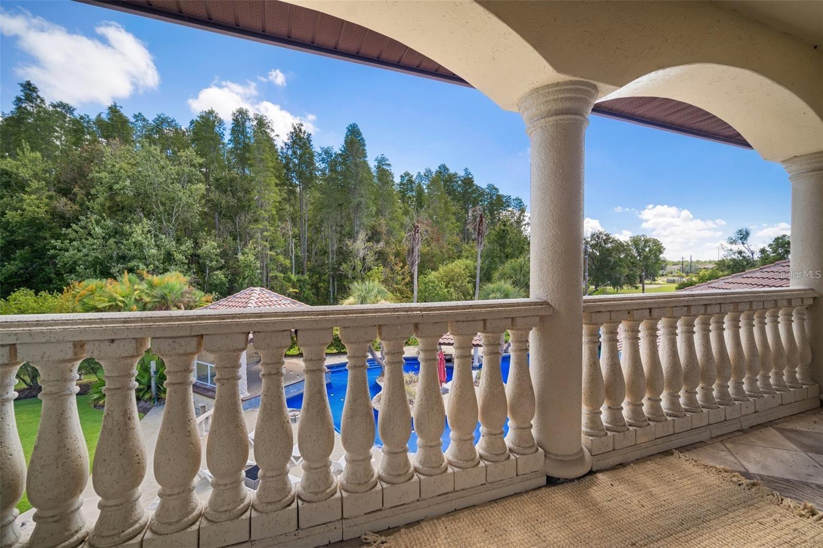 19165 GERACI RD, LUTZ, FL — photo 38