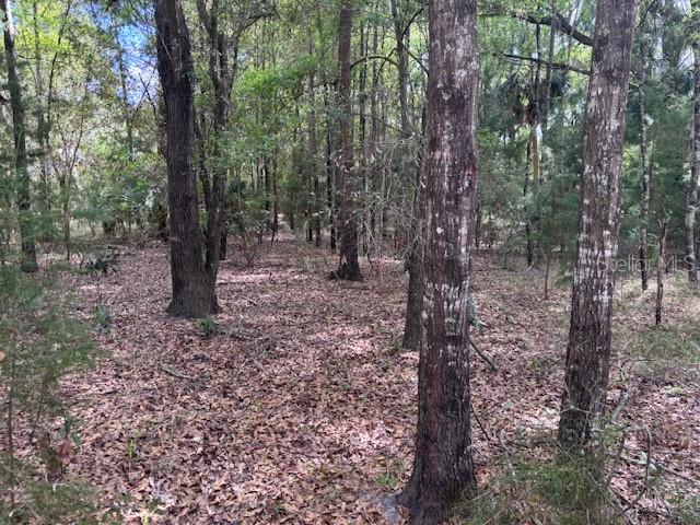 1.77 acres NW 73 ST, CHIEFLAND, FL