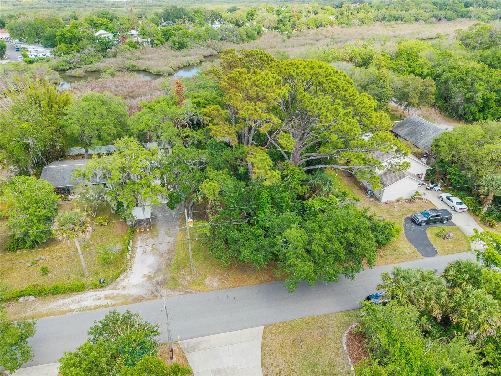BROOKLINE AVE, NEW SMYRNA BEACH, FL — photo 2