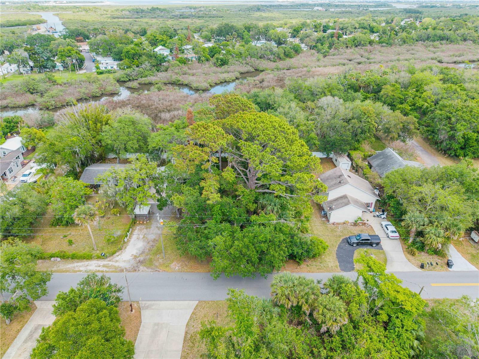 BROOKLINE AVE, NEW SMYRNA BEACH, FL — photo 4