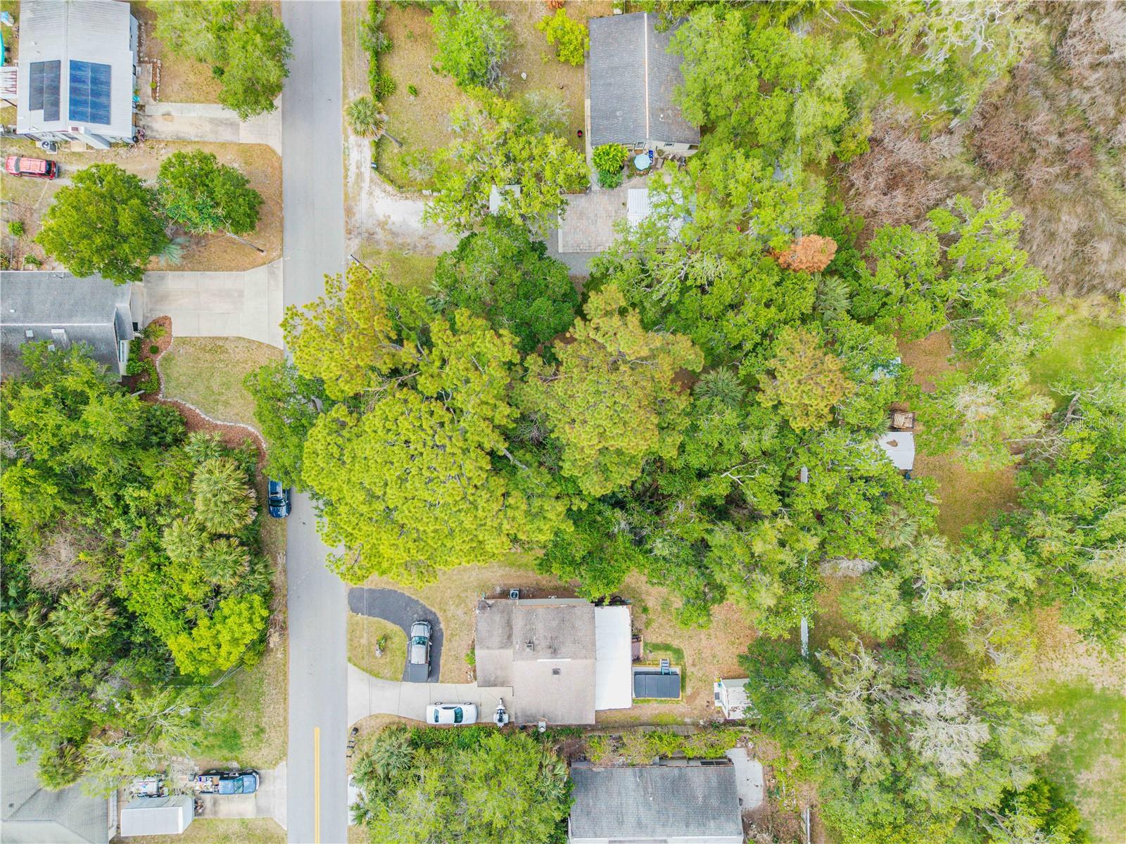 BROOKLINE AVE, NEW SMYRNA BEACH, FL — photo 6