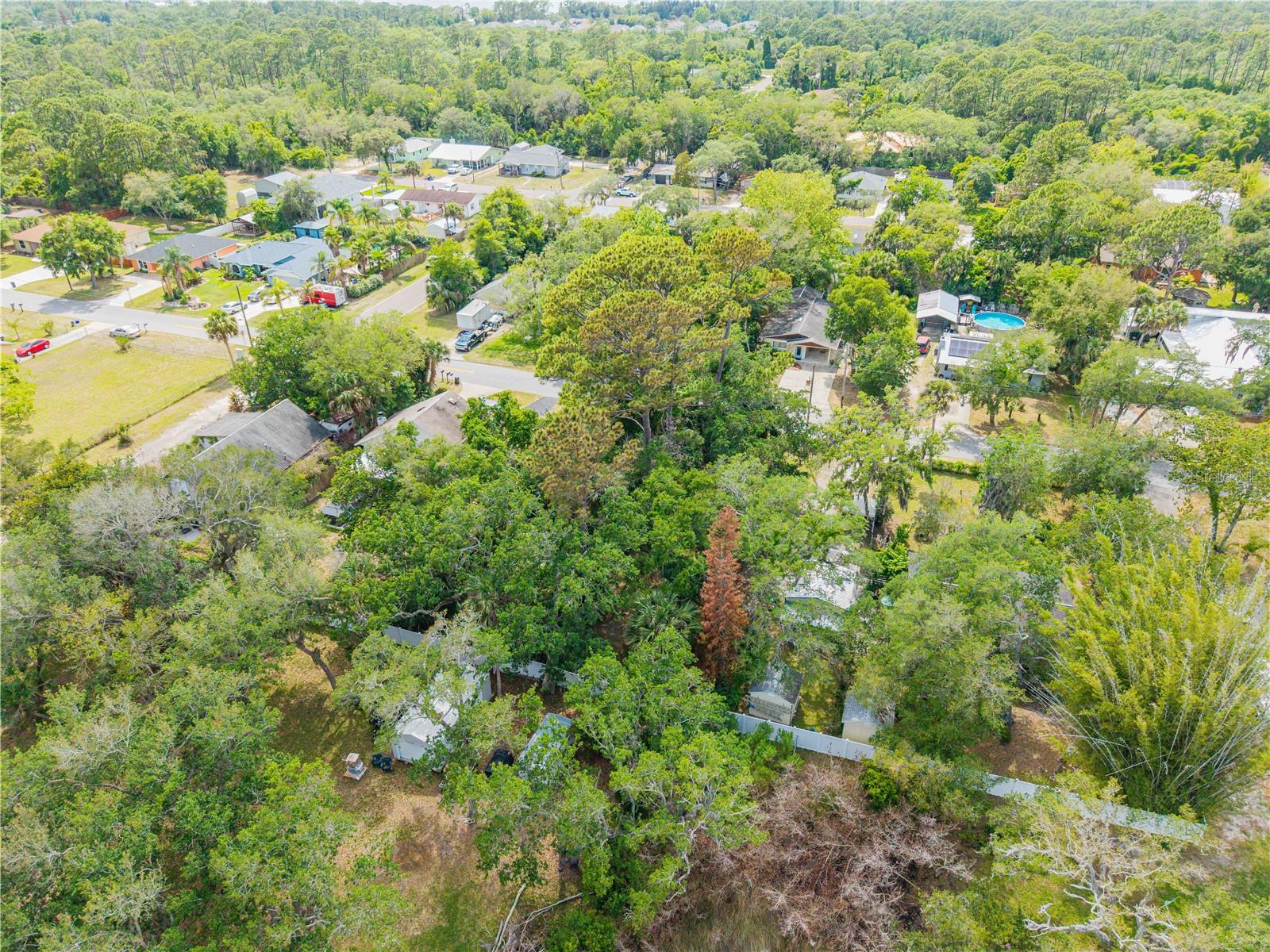 BROOKLINE AVE, NEW SMYRNA BEACH, FL — photo 9