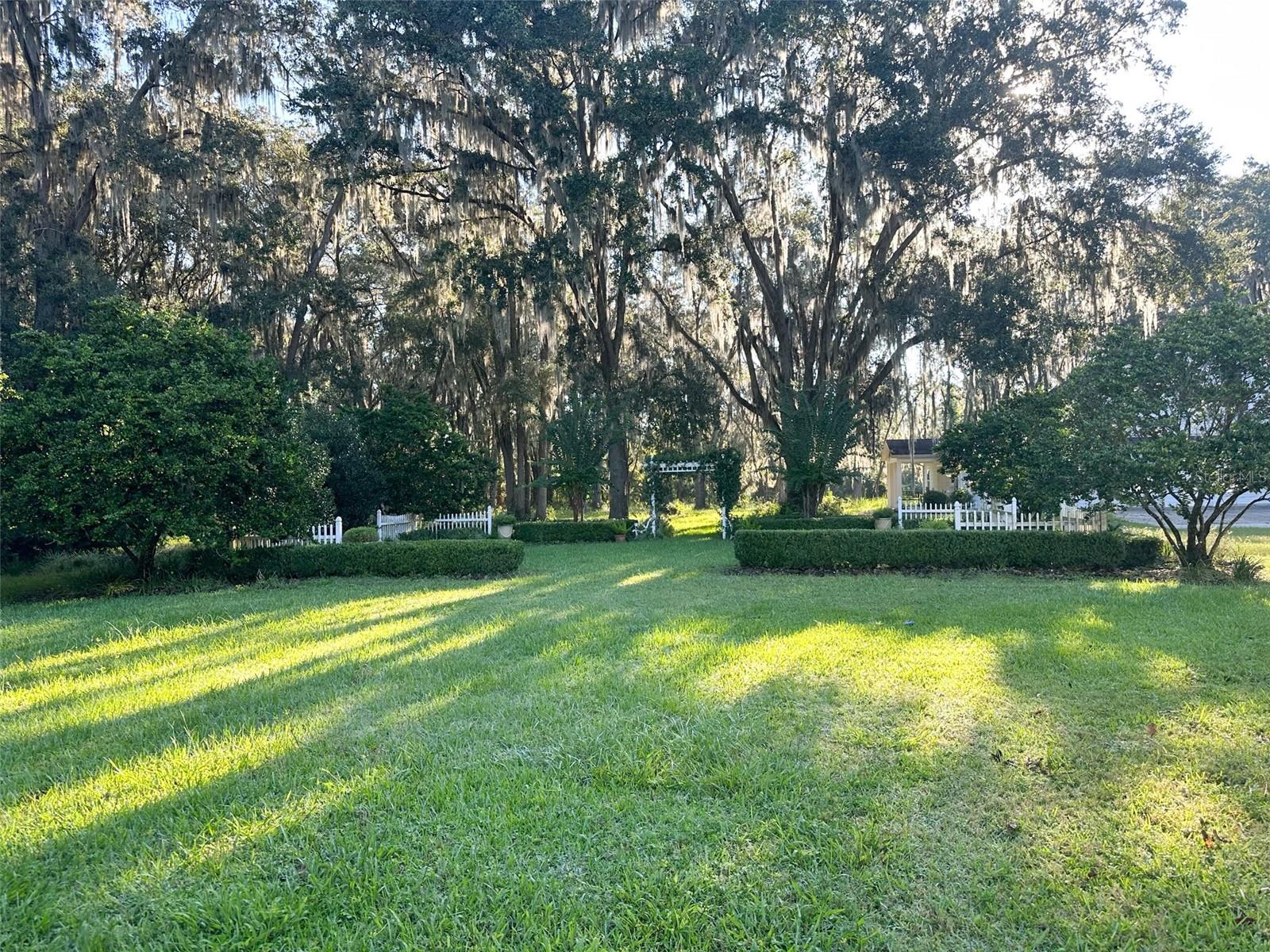 6425 NW 202ND PL, MICANOPY, FL — photo 66