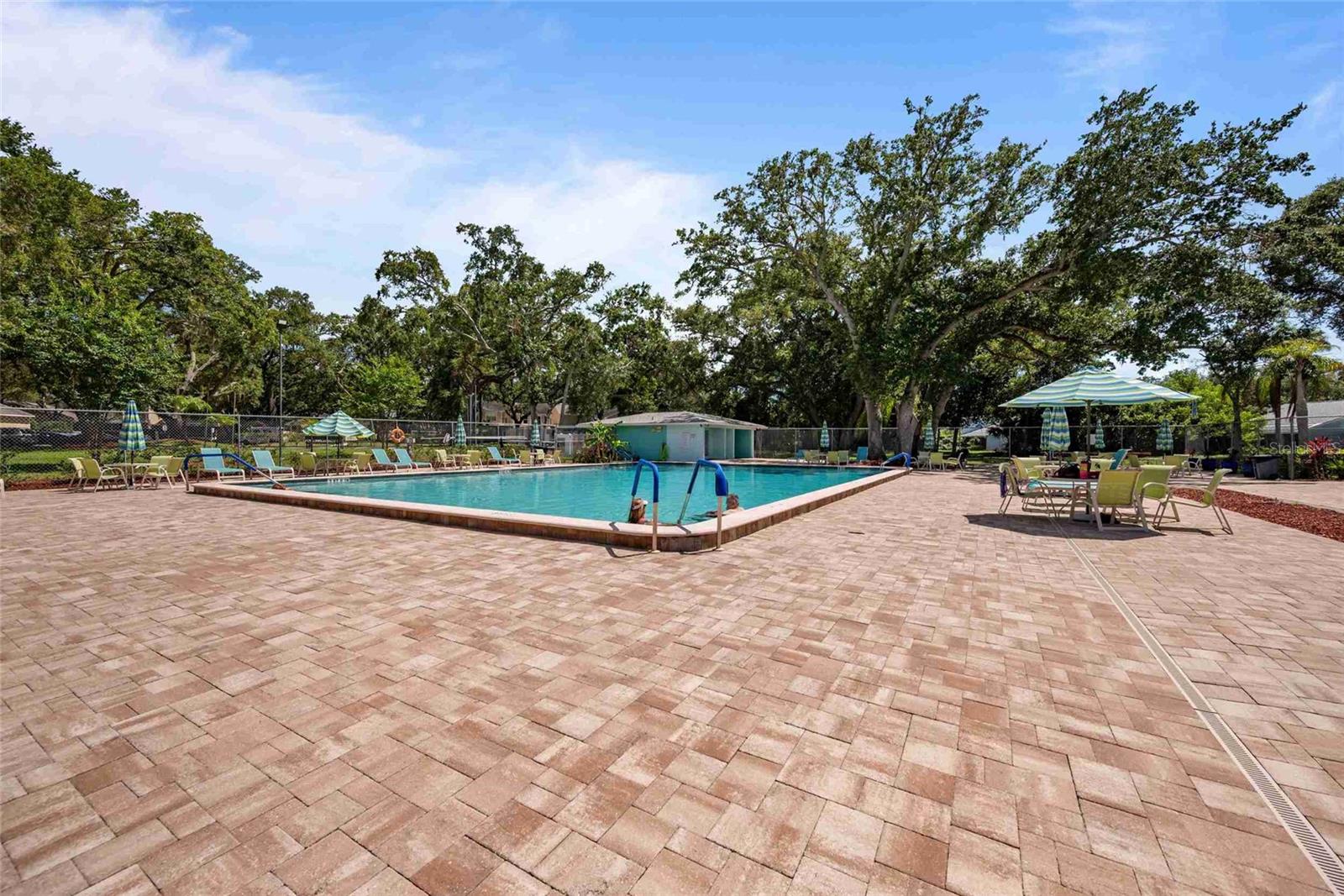 3350 FOX HUNT DR, PALM HARBOR, FL — photo 5