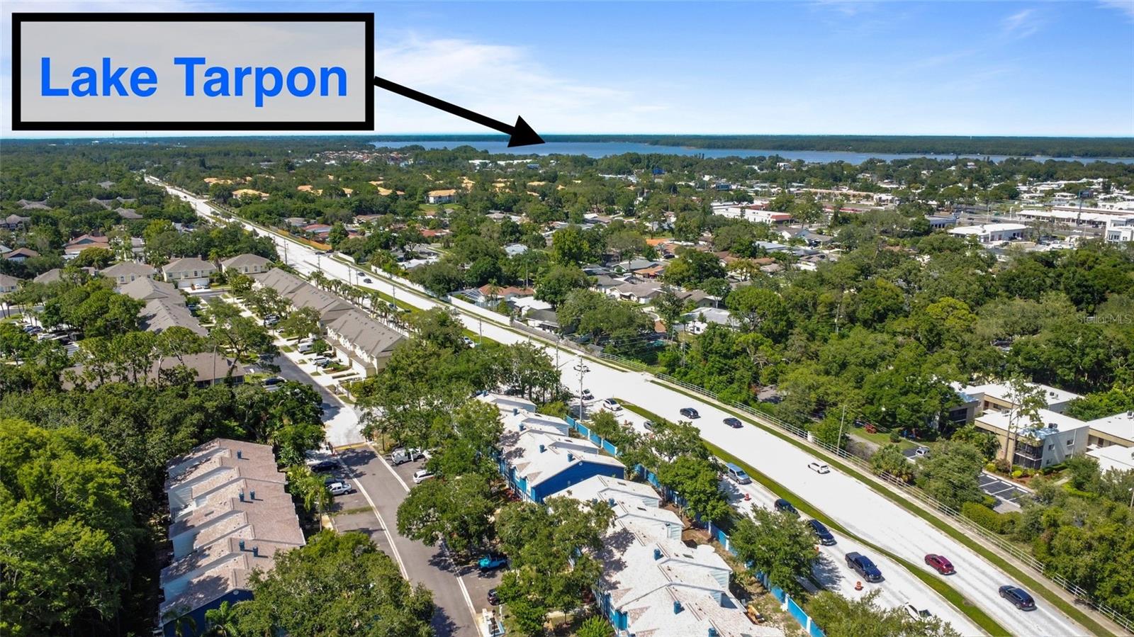 3350 FOX HUNT DR, PALM HARBOR, FL — photo 42