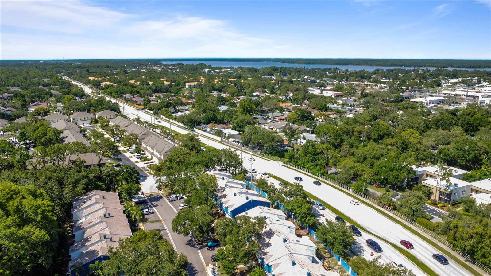 3350 FOX HUNT DR, PALM HARBOR, FL — photo 43