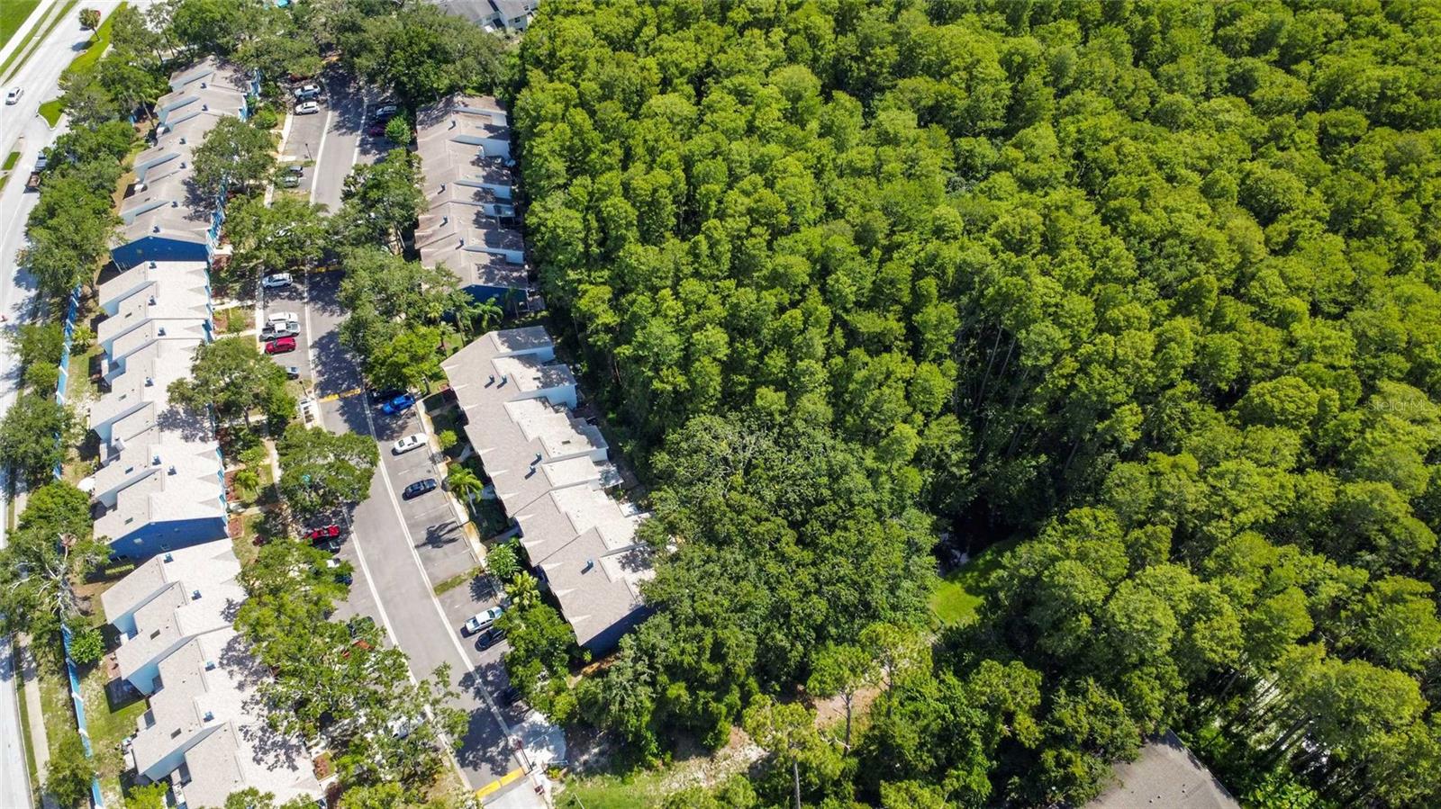 3350 FOX HUNT DR, PALM HARBOR, FL — photo 44