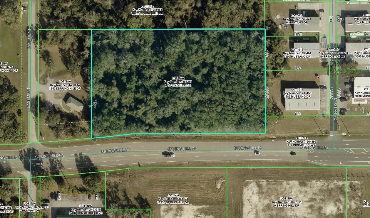 00 SPRING HILL DR, BROOKSVILLE, FL — photo 3