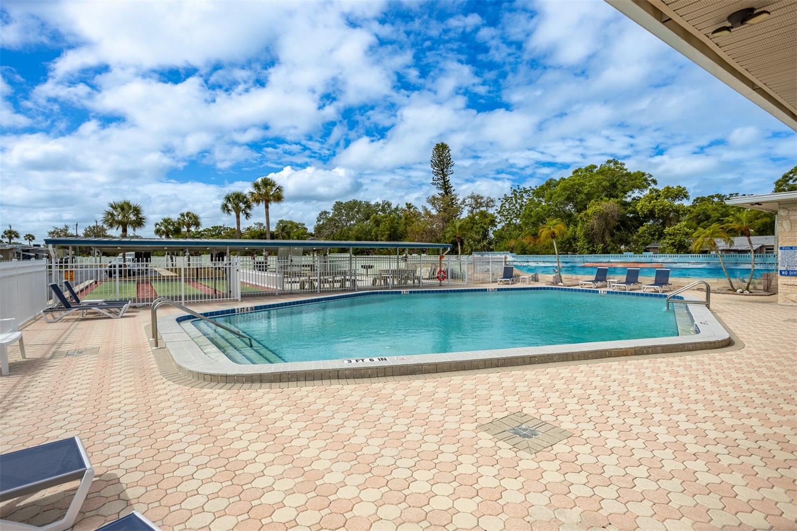 250 ROSERY RD NW #298, LARGO, FL — photo 25