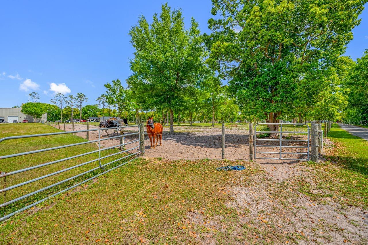 00 HANNA RD, LUTZ, FL — photo 26