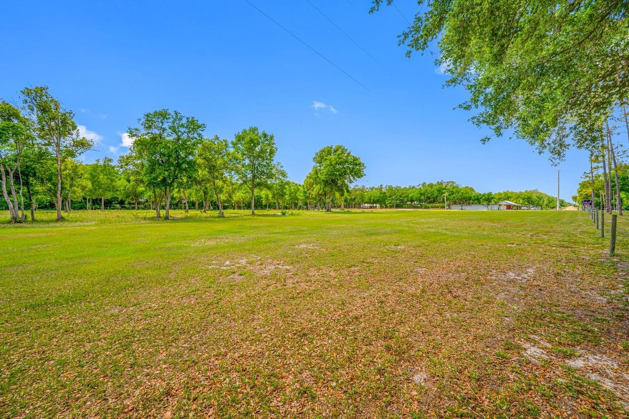 00 HANNA RD, LUTZ, FL — photo 28