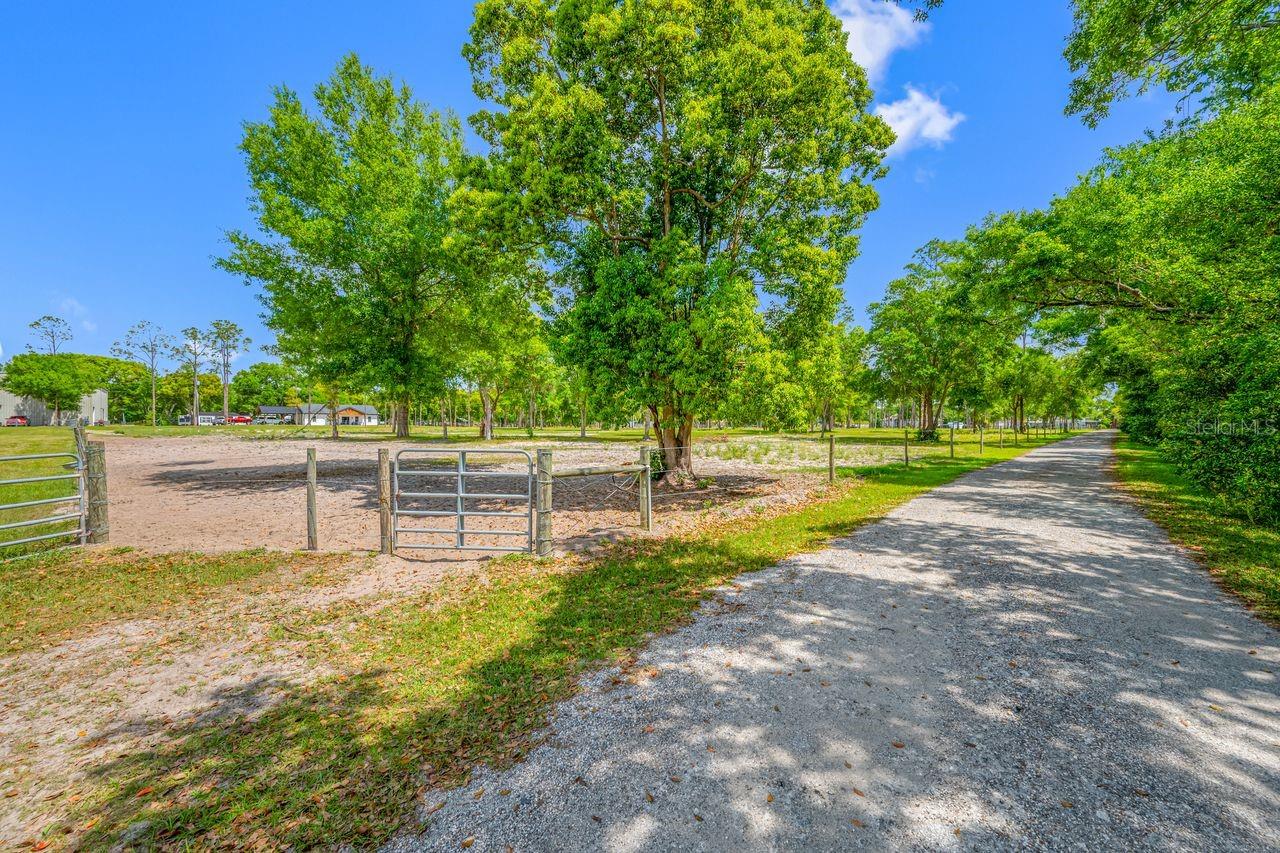00 HANNA RD, LUTZ, FL — photo 35