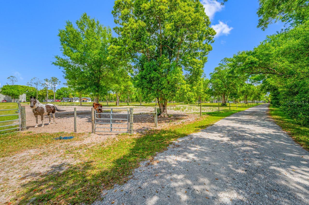 00 HANNA RD, LUTZ, FL — photo 36