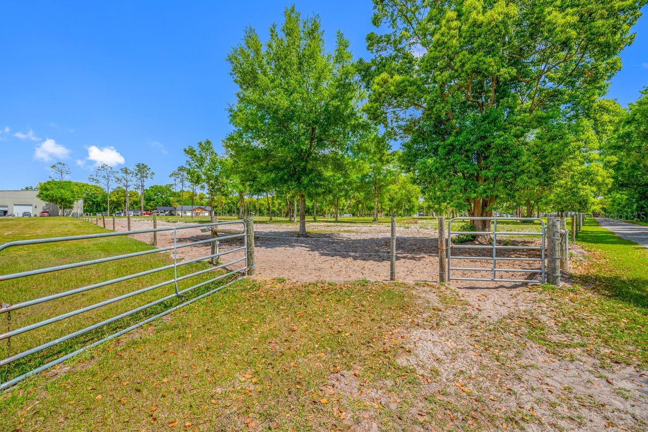 00 HANNA RD, LUTZ, FL — photo 37