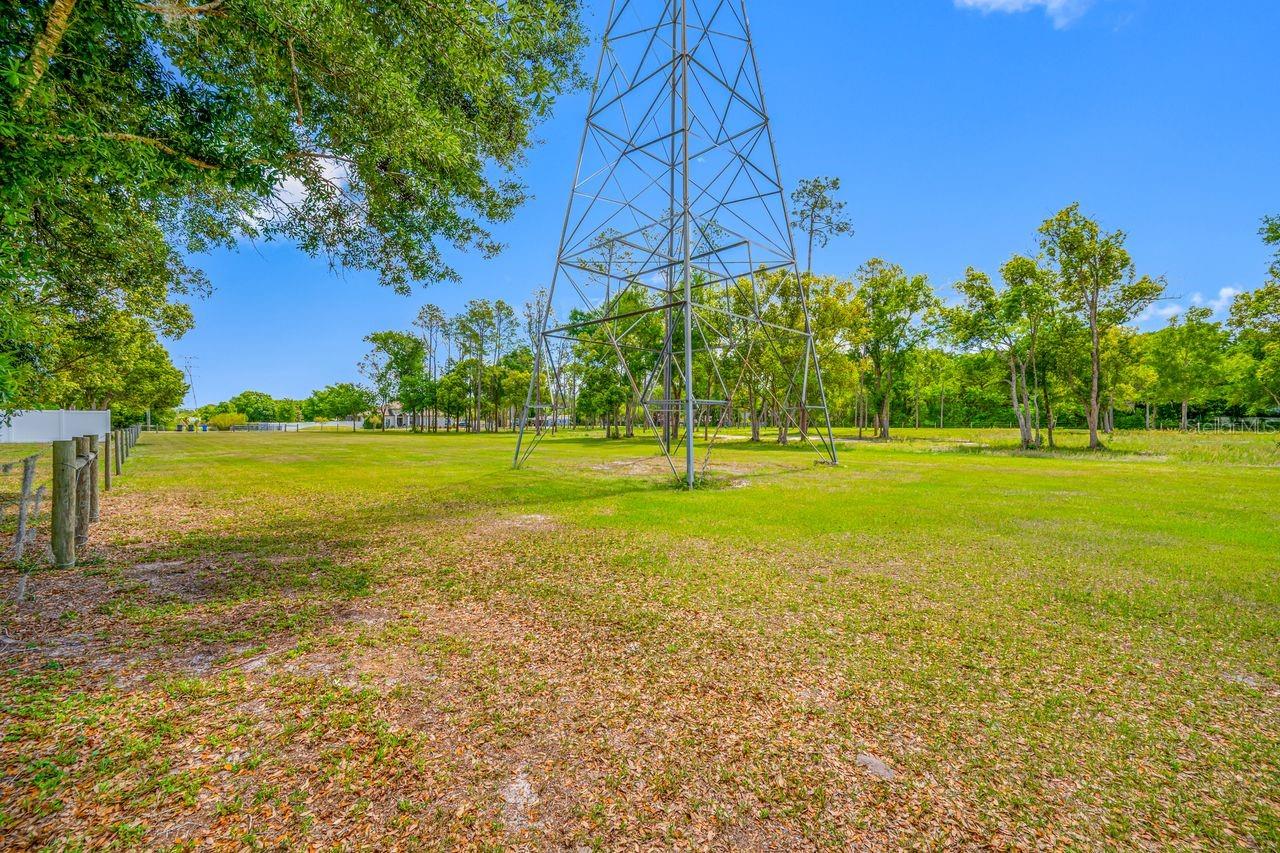 0 HANNA RD, LUTZ, FL — photo 26