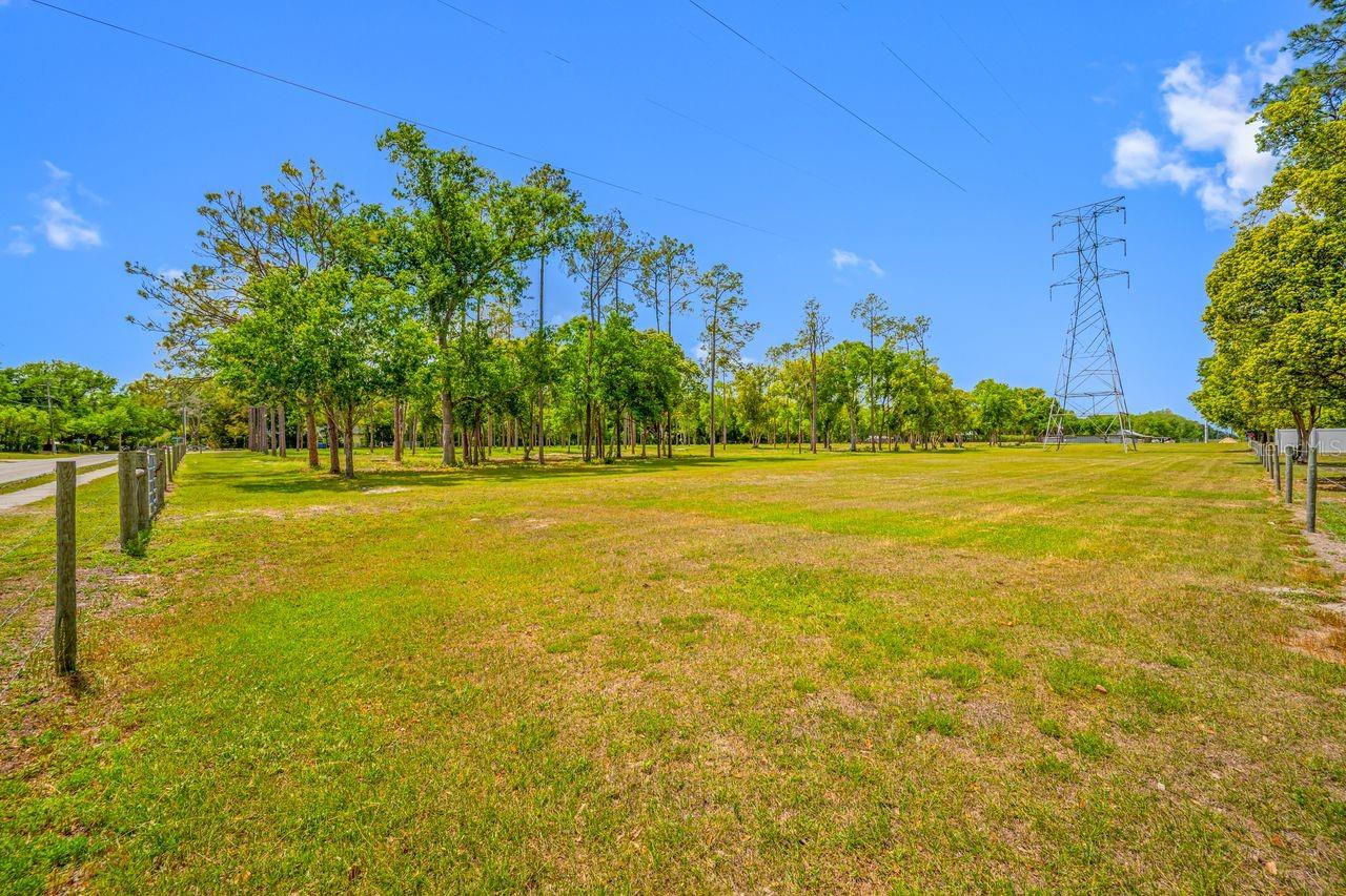 0 HANNA RD, LUTZ, FL — photo 28
