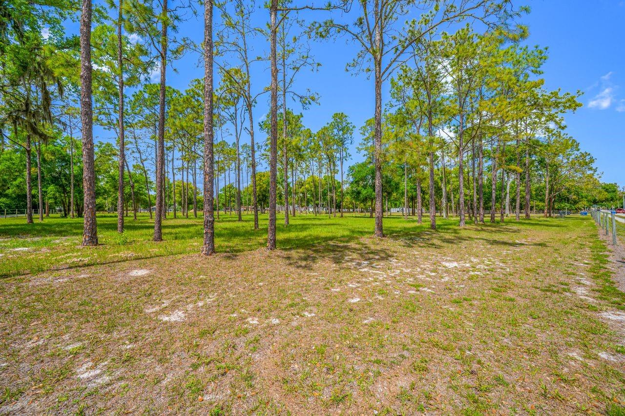 0 HANNA RD, LUTZ, FL — photo 29