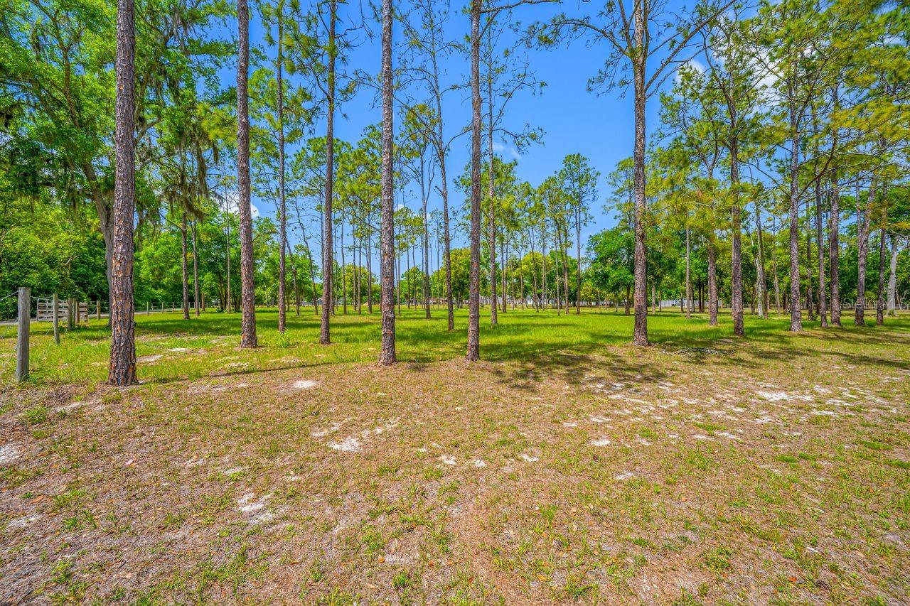 0 HANNA RD, LUTZ, FL — photo 30