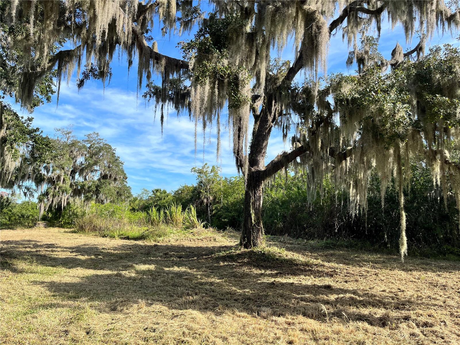 6715 16TH AVE E, PALMETTO, FL