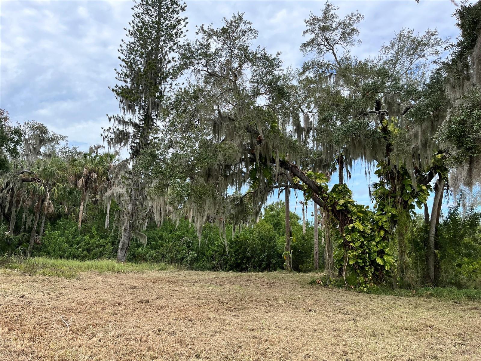 6715 16TH AVE E, PALMETTO, FL — photo 4