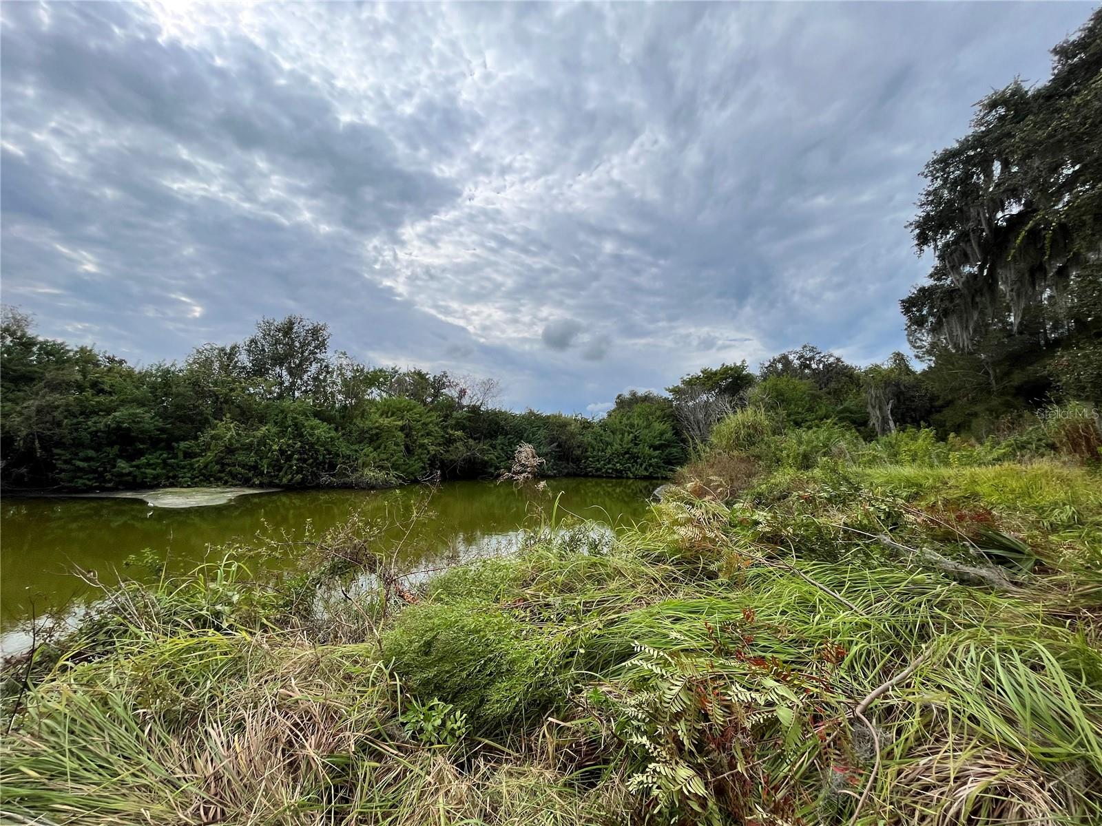 6715 16TH AVE E, PALMETTO, FL — photo 9