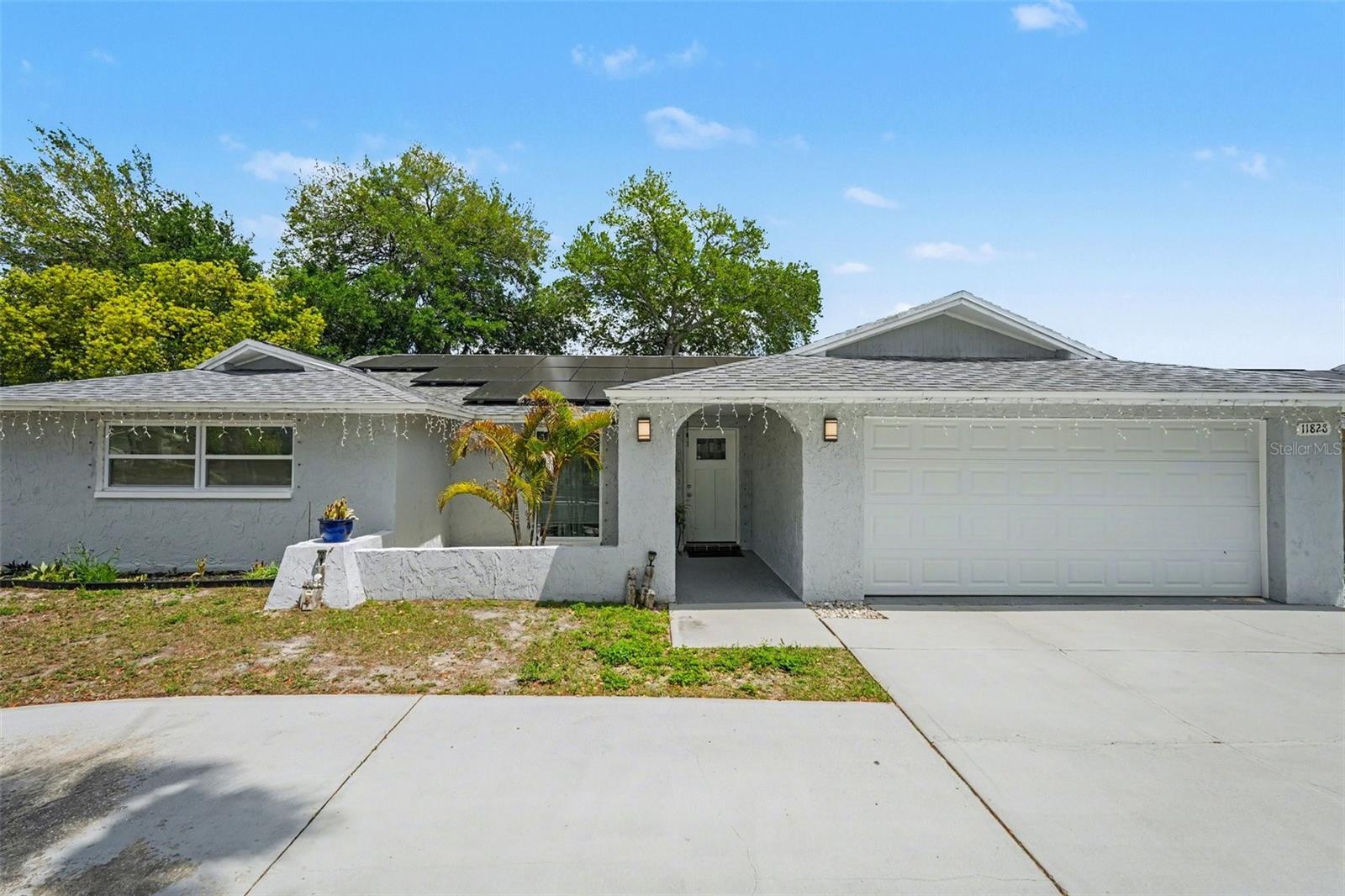 11828 BINGHAM DR, PORT RICHEY, FL — photo 2