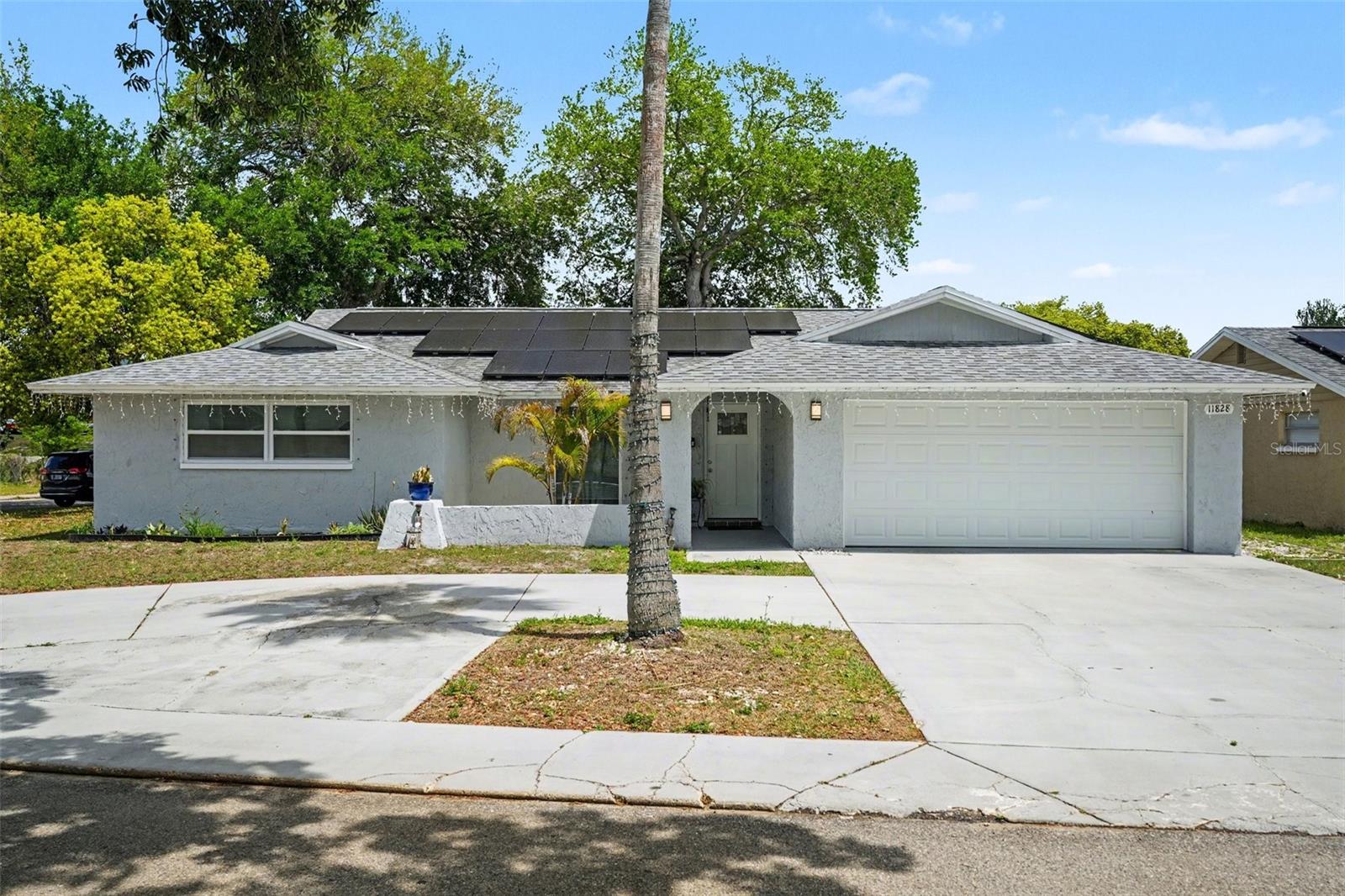 11828 BINGHAM DR, PORT RICHEY, FL — photo 4
