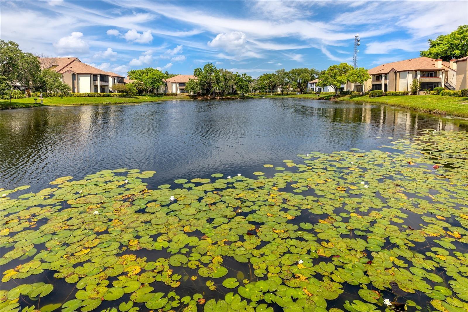 10263 GANDY BLVD N #414, ST PETERSBURG, FL — photo 72