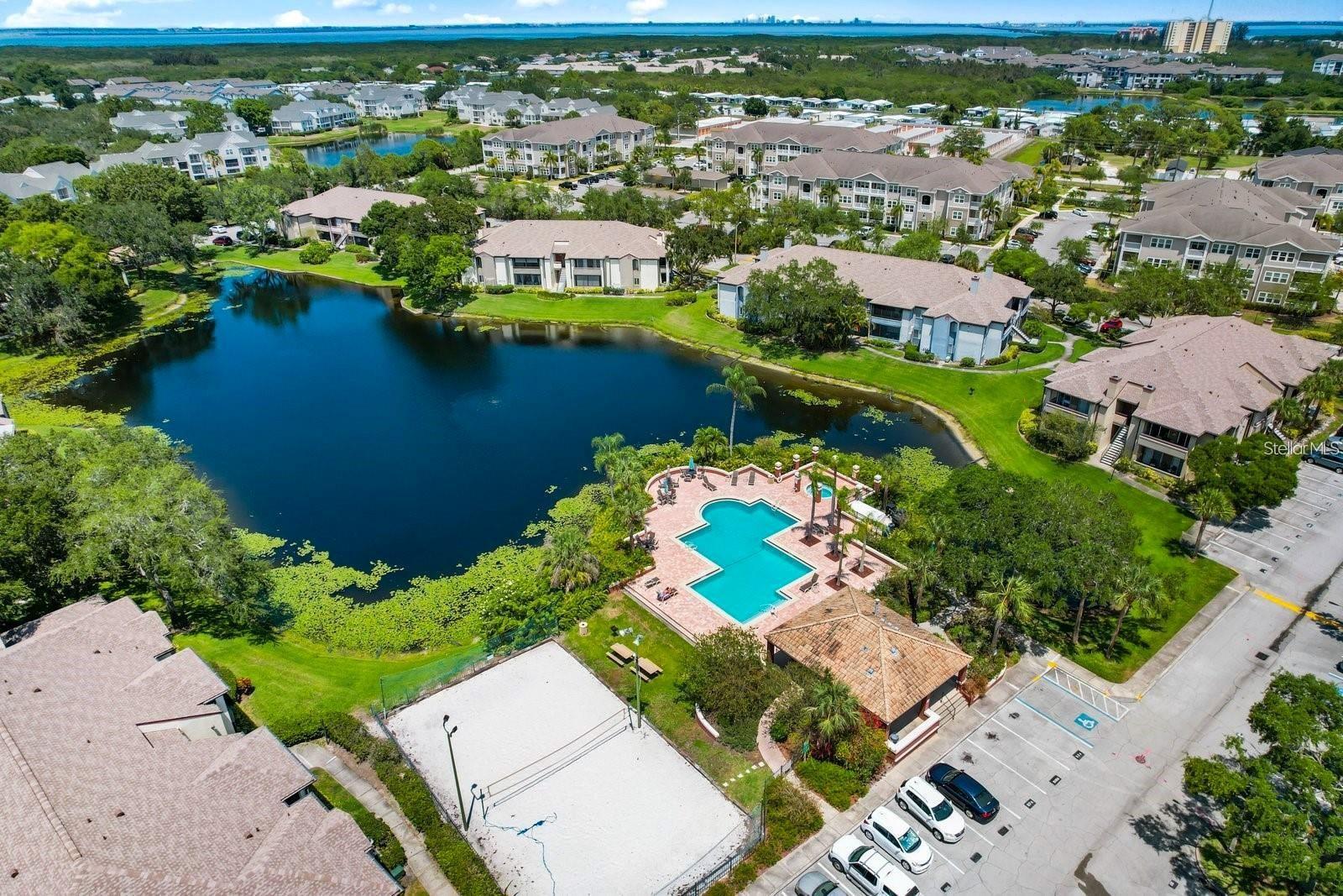 10263 GANDY BLVD N #414, ST PETERSBURG, FL — photo 91