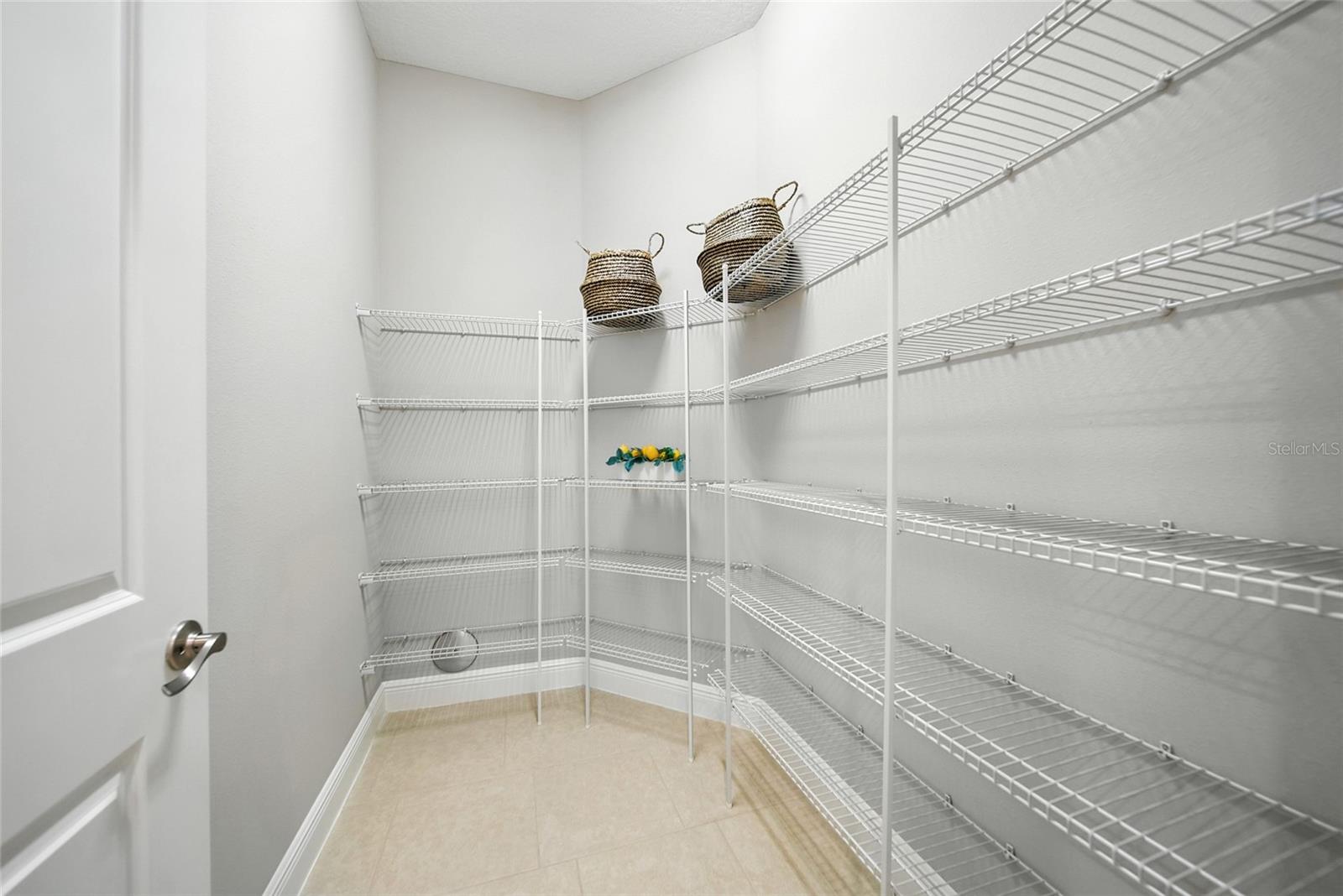 2495 OAKWOOD PRESERVE DR, WESLEY CHAPEL, FL — photo 20