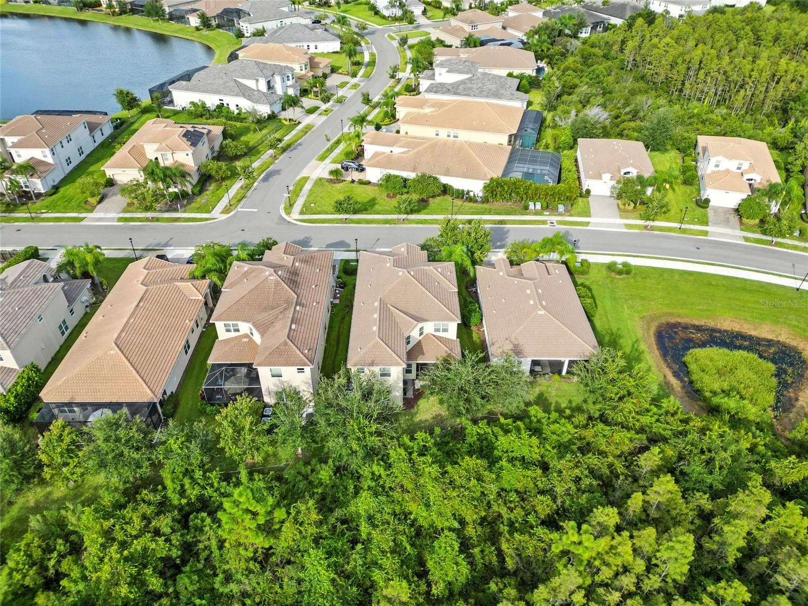 2495 OAKWOOD PRESERVE DR, WESLEY CHAPEL, FL — photo 51