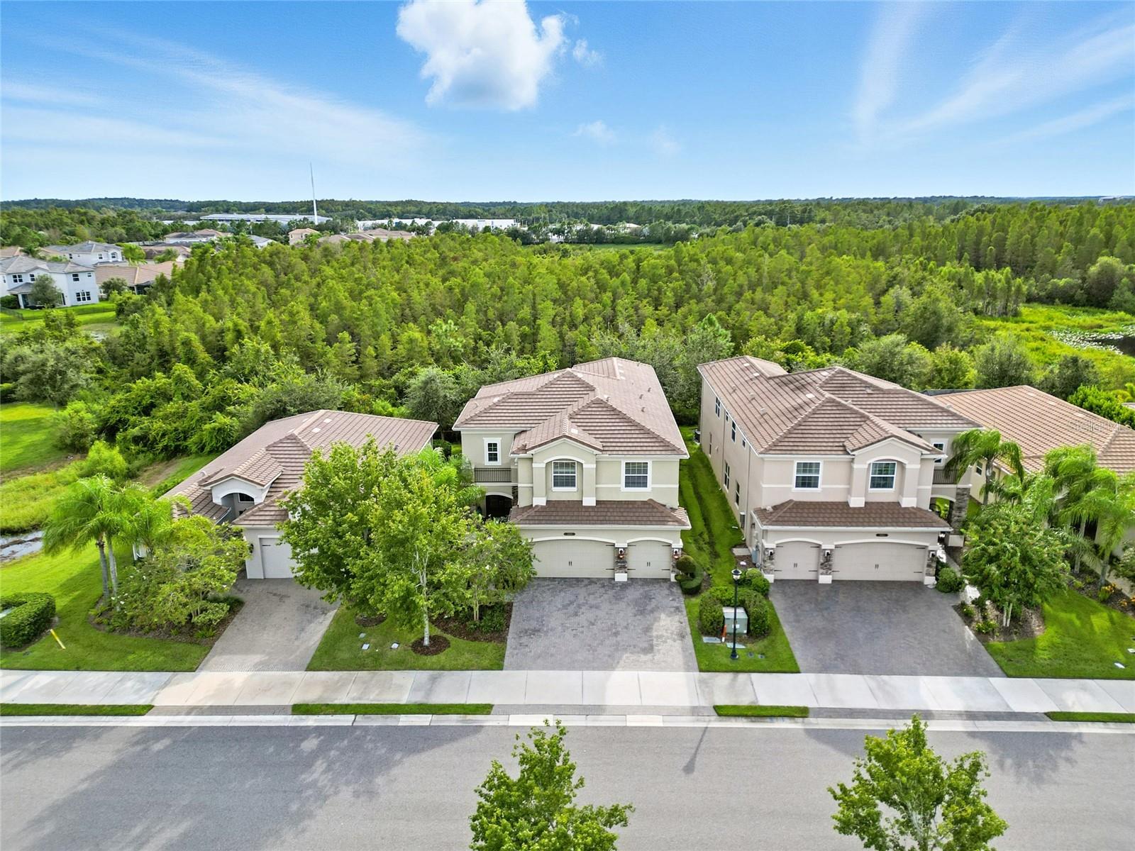 2495 OAKWOOD PRESERVE DR, WESLEY CHAPEL, FL — photo 52