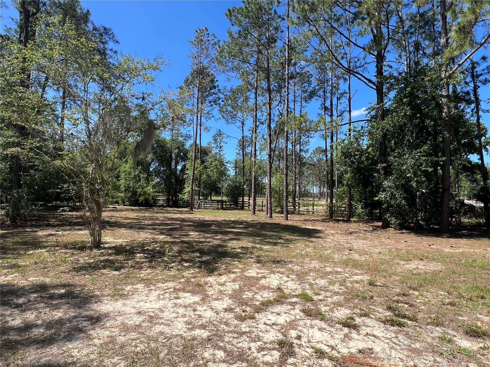20825 COUNTY ROAD 44A, EUSTIS, FL — photo 145