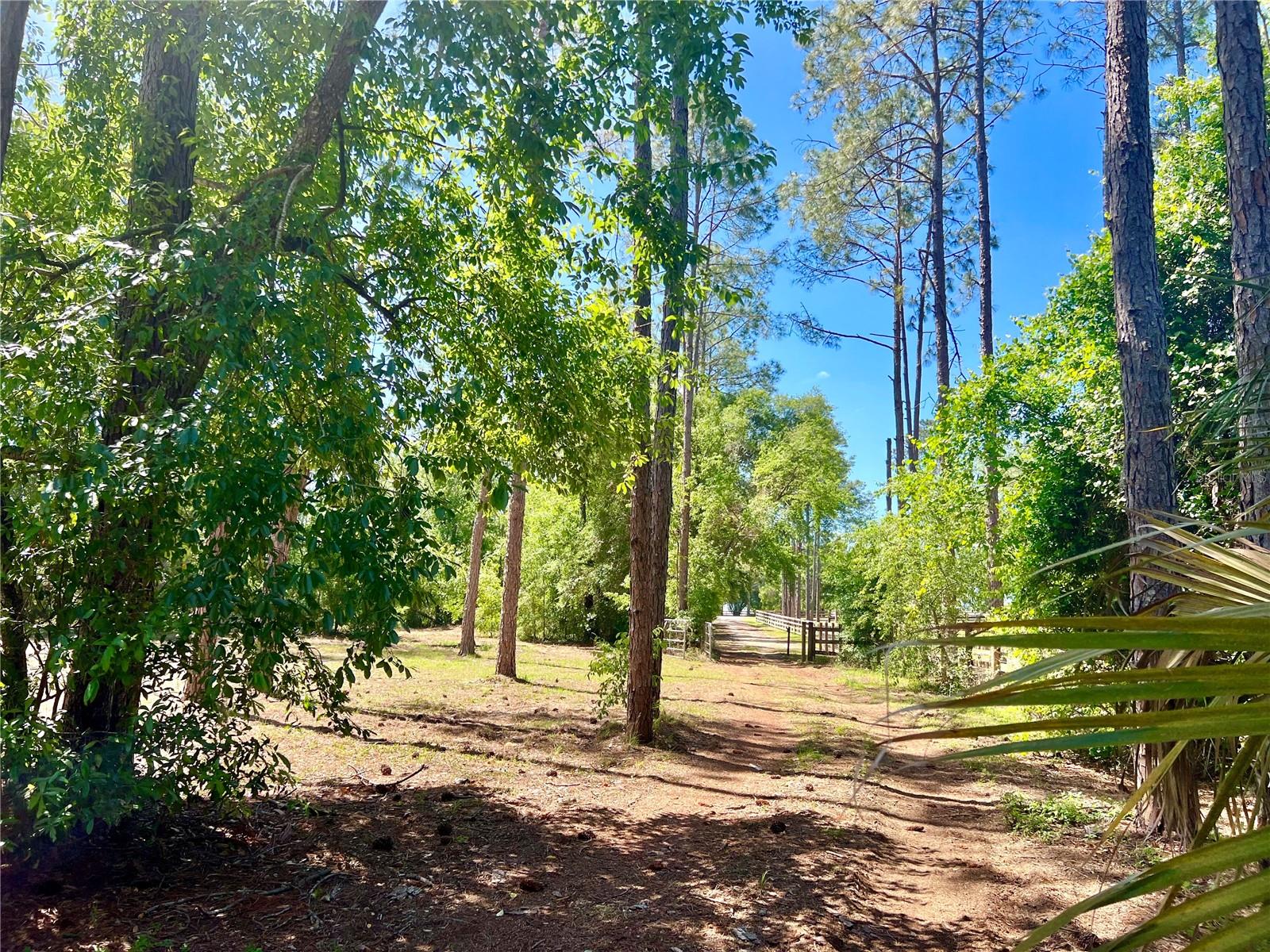 20825 COUNTY ROAD 44A, EUSTIS, FL — photo 152
