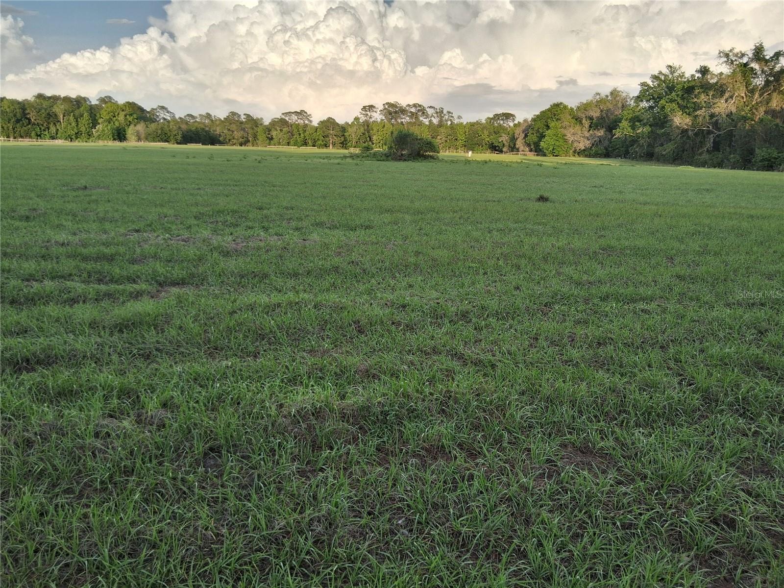 1613 NE 12TH AVE, SUMTERVILLE, FL