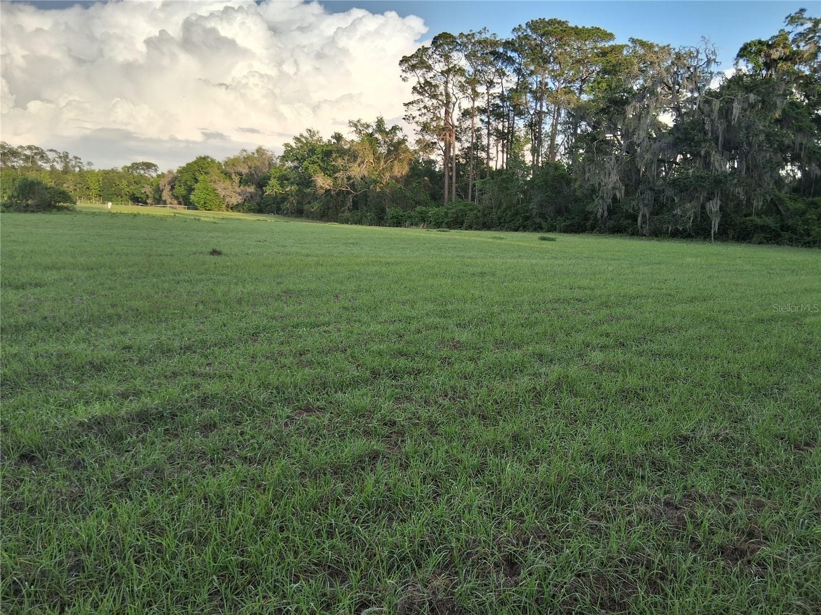 1613 NE 12TH AVE, SUMTERVILLE, FL — photo 2