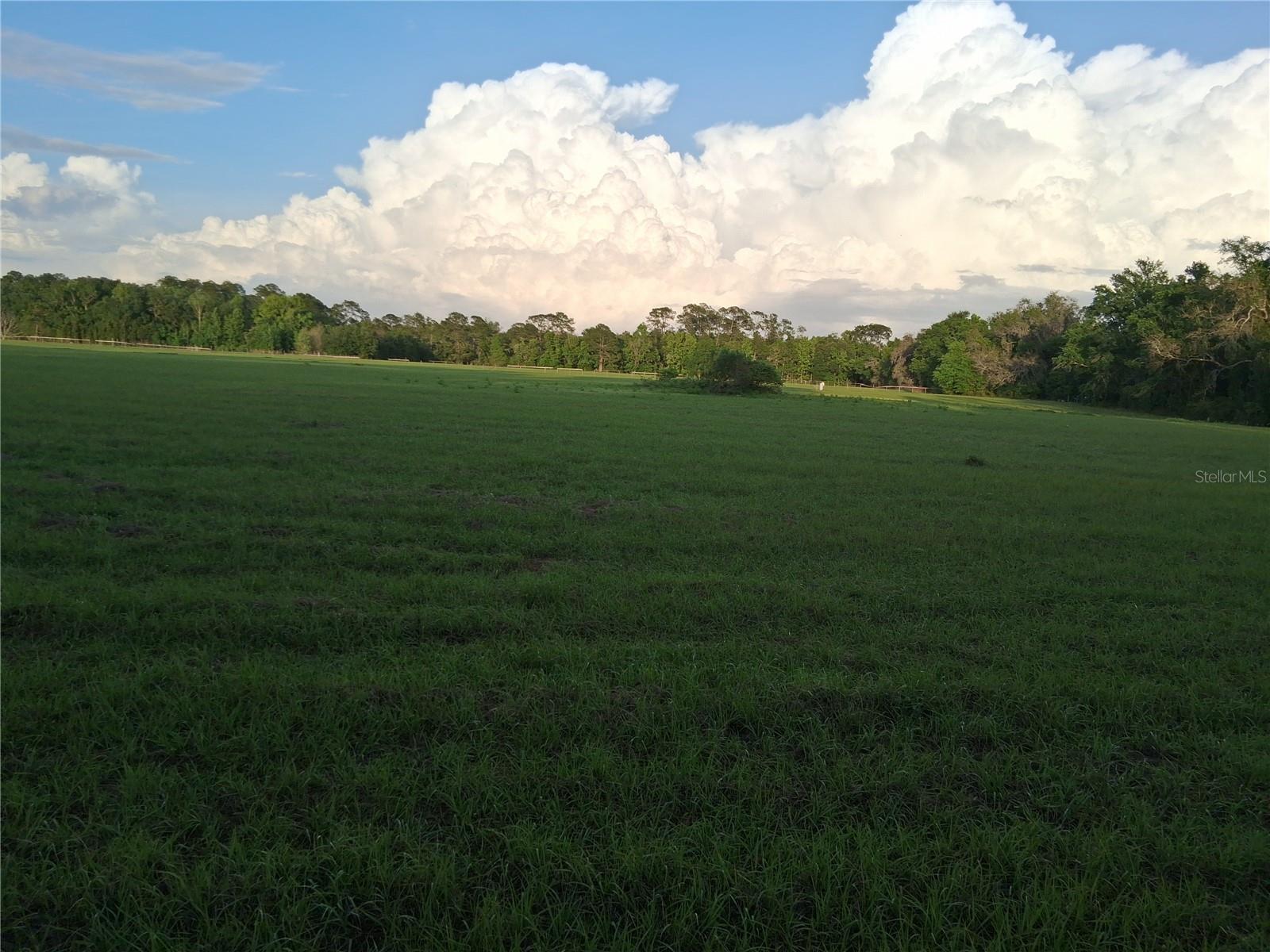 1613 NE 12TH AVE, SUMTERVILLE, FL — photo 6