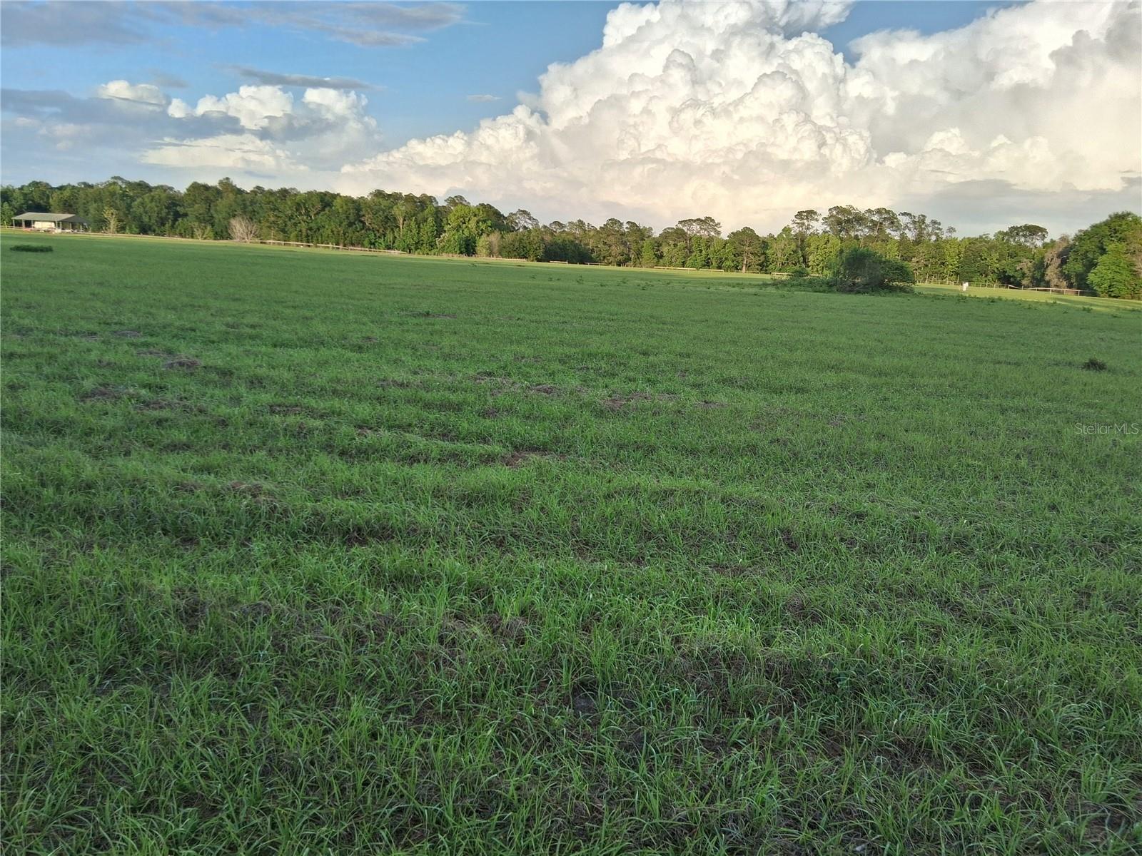 1613 NE 12TH AVE, SUMTERVILLE, FL — photo 8