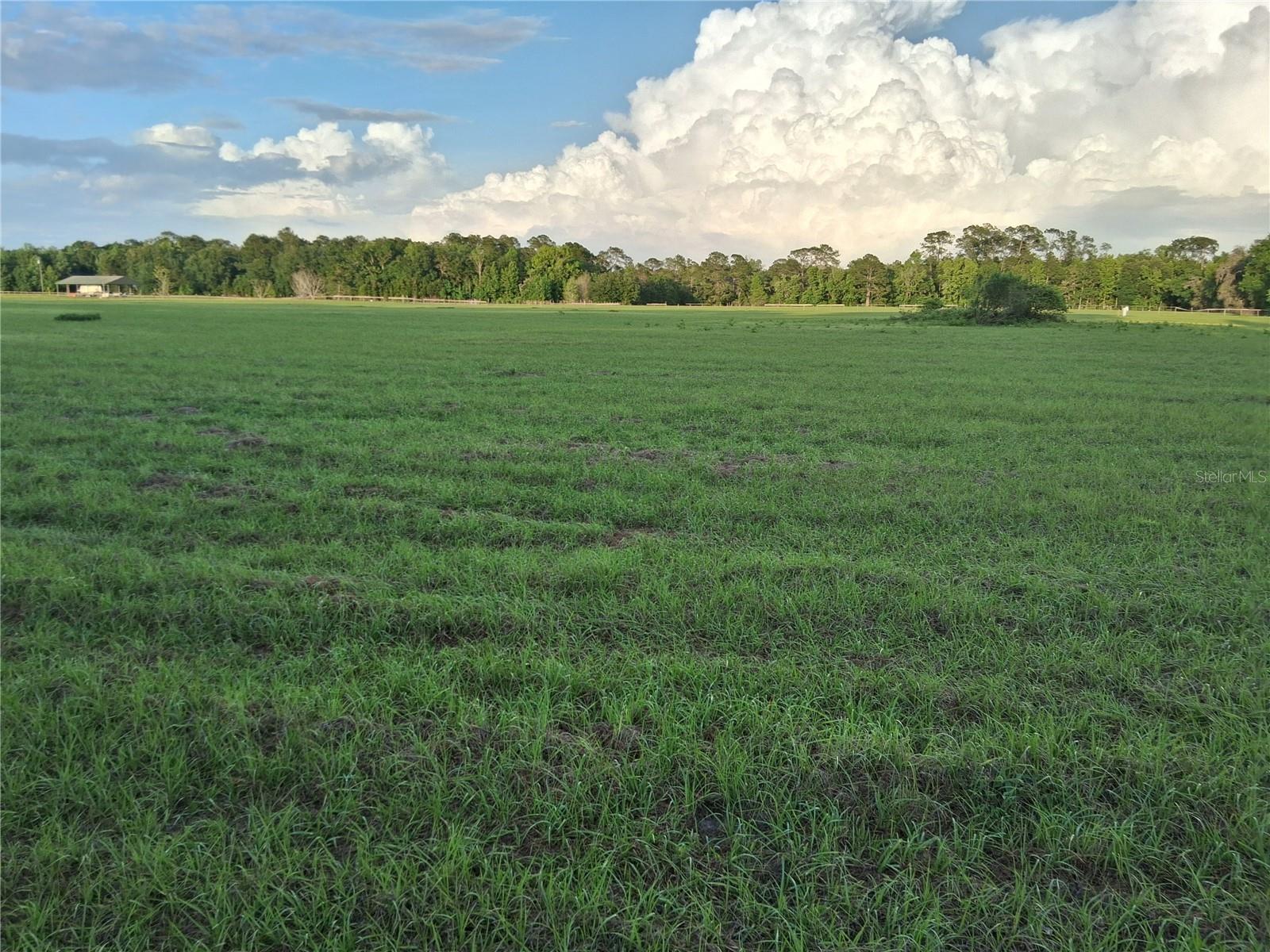 1613 NE 12TH AVE, SUMTERVILLE, FL — photo 9