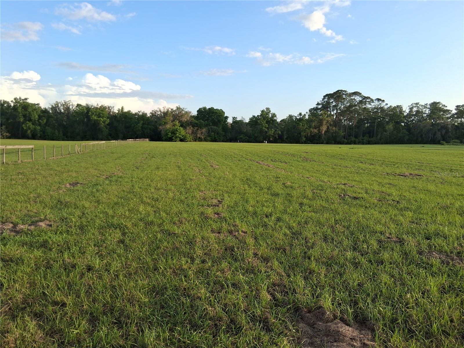 1613 NE 12TH AVE, SUMTERVILLE, FL — photo 10