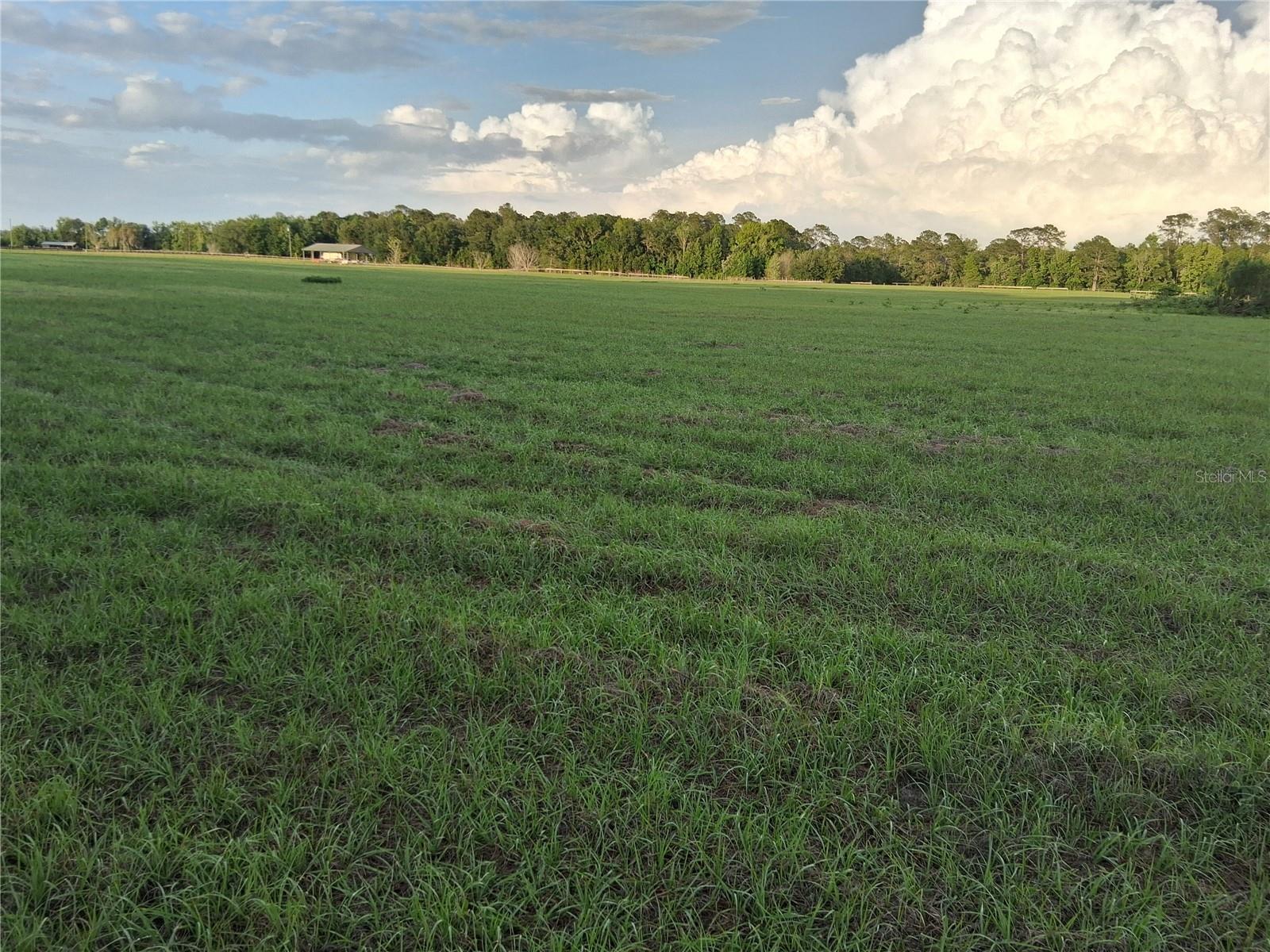 1613 NE 12TH AVE, SUMTERVILLE, FL — photo 11