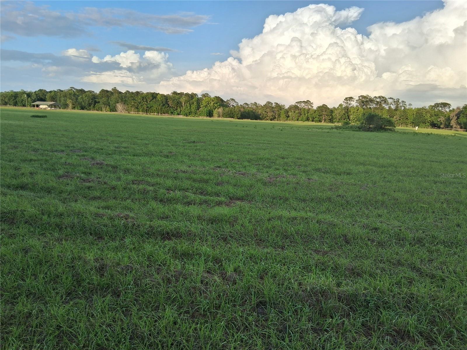 1613 NE 12TH AVE, SUMTERVILLE, FL — photo 12
