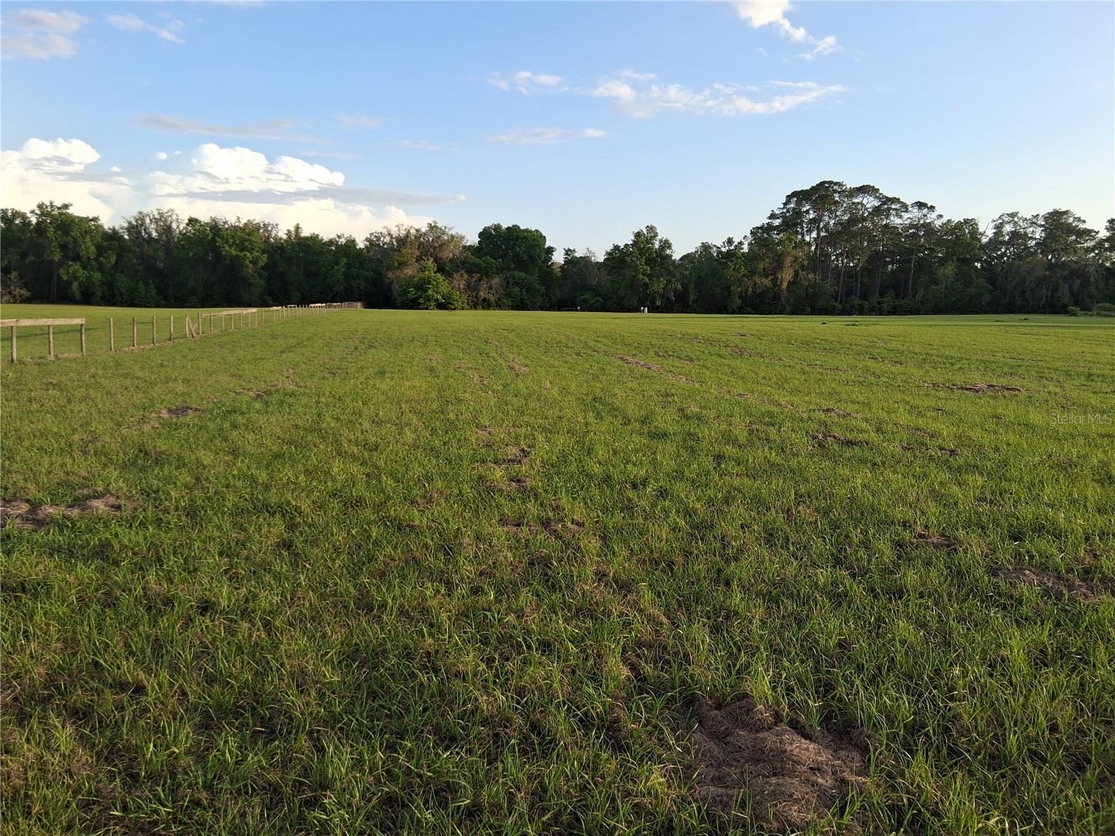 1613 NE 12TH AVE, SUMTERVILLE, FL — photo 13