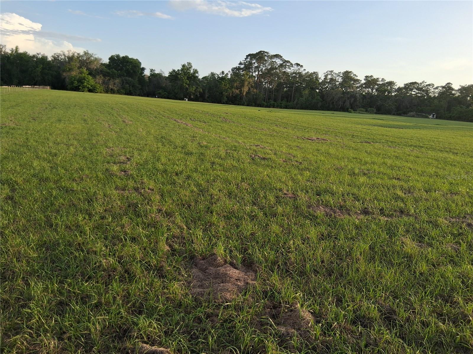 1613 NE 12TH AVE, SUMTERVILLE, FL — photo 15