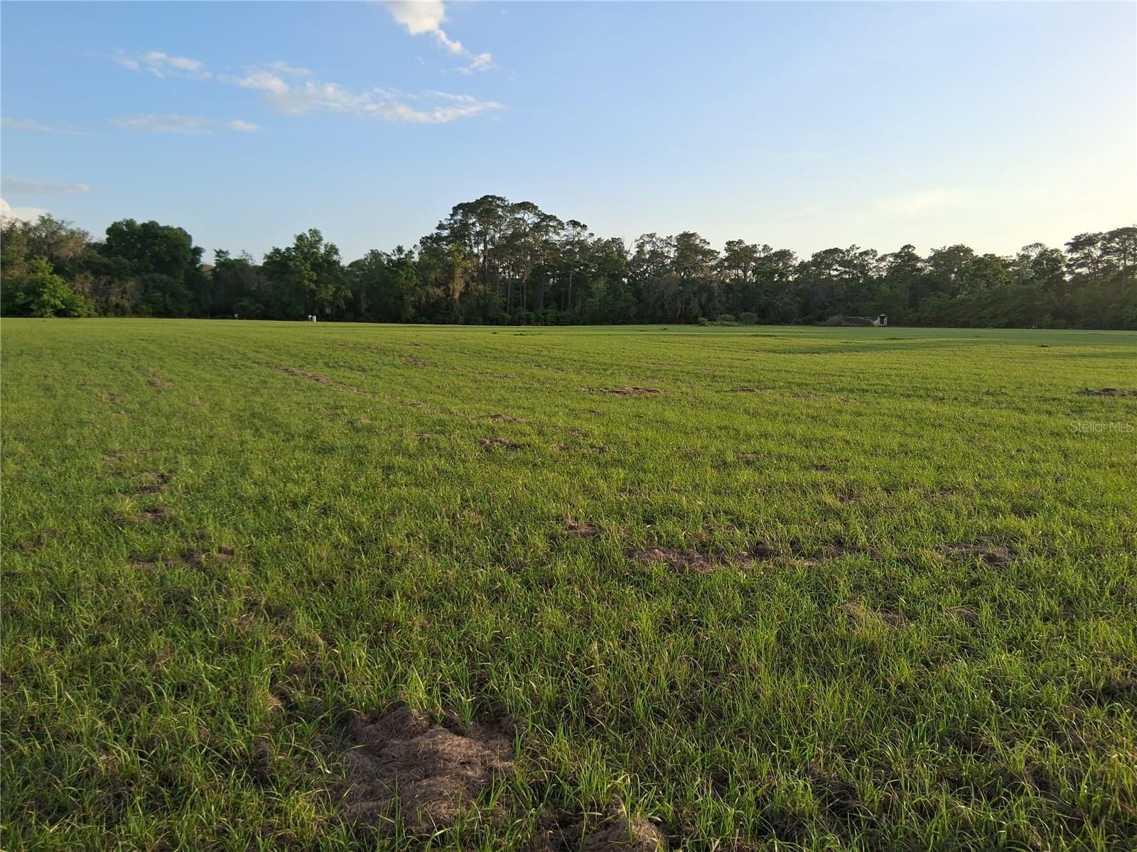1613 NE 12TH AVE, SUMTERVILLE, FL — photo 16