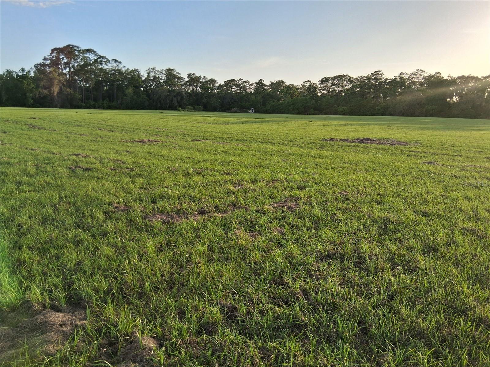 1613 NE 12TH AVE, SUMTERVILLE, FL — photo 17